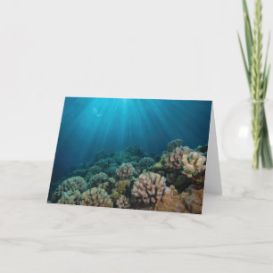 Tanzsonnenlicht Karte