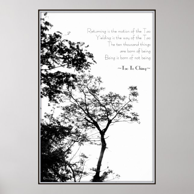 Tao Te Ching/Sunset Tree B&W Fotografy Poster (Vorne)