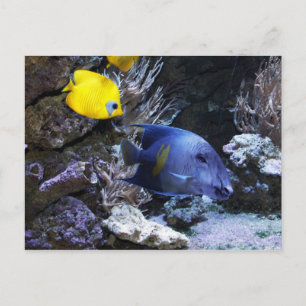 Tape-Postkarte Postkarte