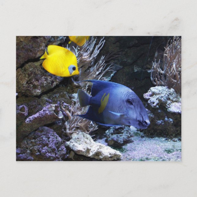 Tape-Postkarte Postkarte (Vorderseite)