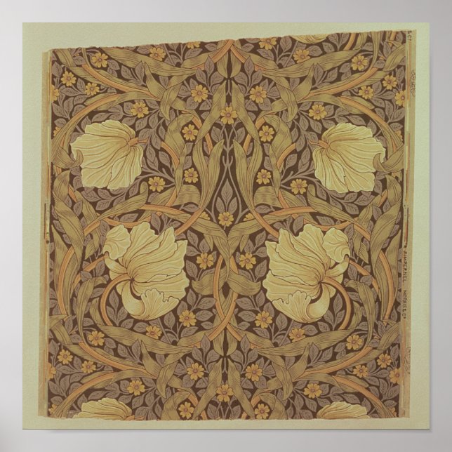 Tapete "Pimpernel", 1876 Poster (Vorne)