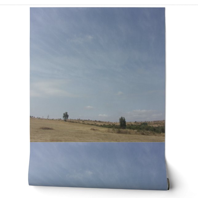 Tapeten-Design Tapete (Abrollen)