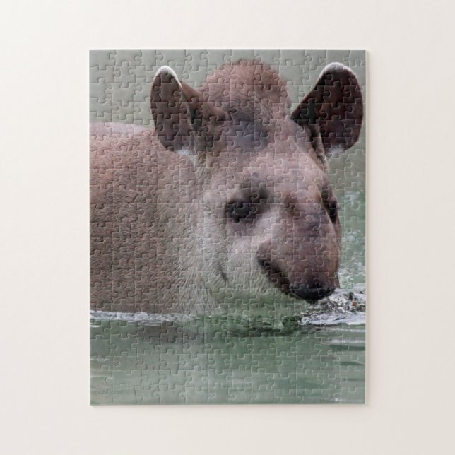 Tapir_2015_0101 (Vertikal)