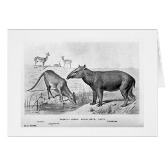 Tapir ähnliche Tierkunstkarte
