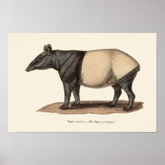 TAPIR-DRUCKEN POSTER