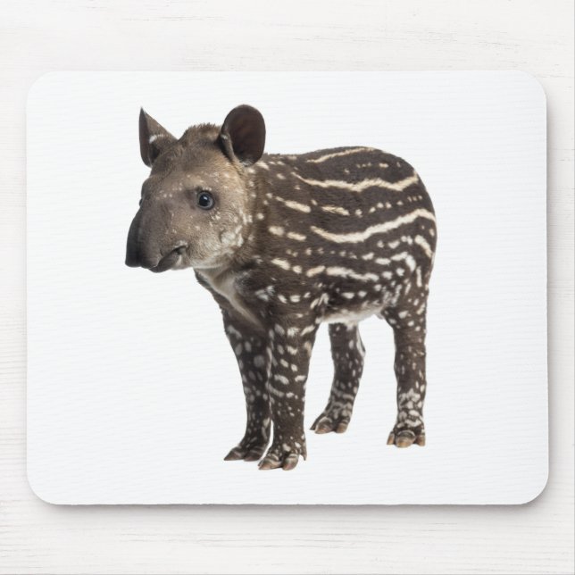 Tapir Mousepad (Vorne)
