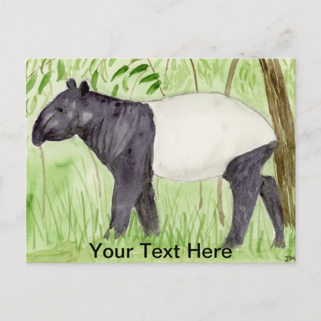 Tapir Postkarte (Vorderseite)