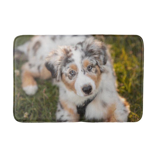 Tapis De Bain Animaux de bébés cutest | Australian Shepherd Pupp (Devant)