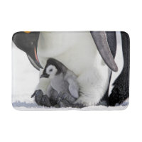 Animaux de bébés cutest | Baby Empereur Penguin
