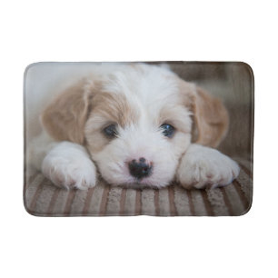 Tapis De Bain Animaux de bébés cutest Cavashon Puppy