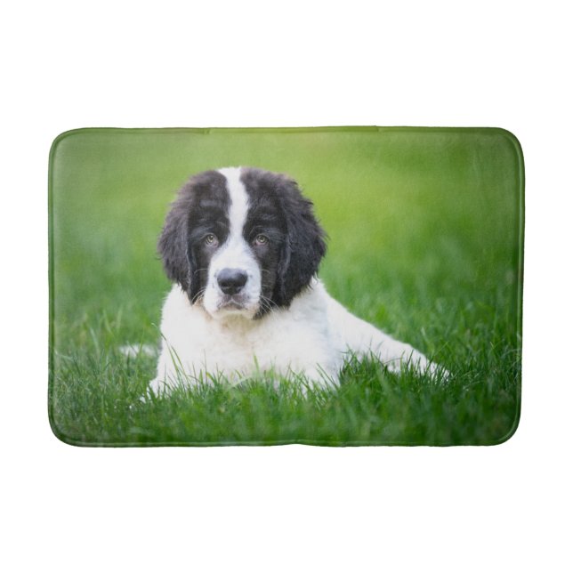 Tapis De Bain Animaux de bébés cutest | Newfoundland Puppy (Devant)