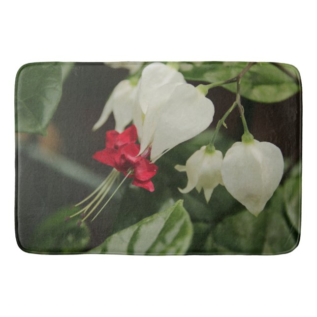 Tapis De Bain Bain Mat Rouge Blanc Vert Fleur (Devant)
