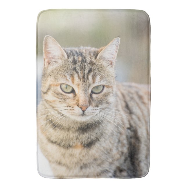 Tapis De Bain Beau chat (devant Vertical)