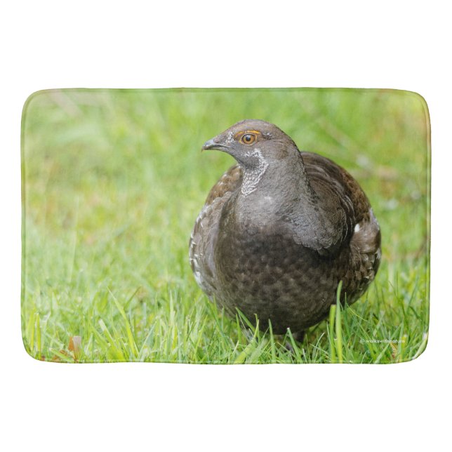 Tapis De Bain Beau Tétras de Sooty dans l'herbe (Devant)