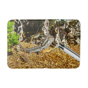 Tapis De Bain Biologie D'Un Lézard Dragon Porté Par Un Bébé,