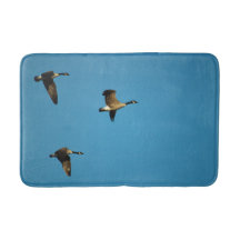 Canadian geese
