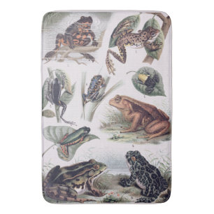 Tapis De Bain Catalogue vintage de Geeks scientifique de grenoui