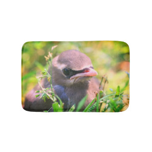 Tapis De Bain Cèdre jaune cire oiseau naissant