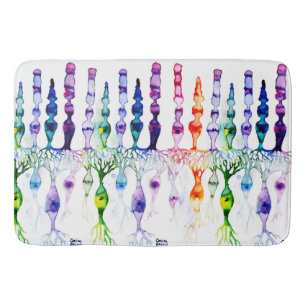 Tapis De Bain Cellules cônes cellules tiges et neurone bipolaire