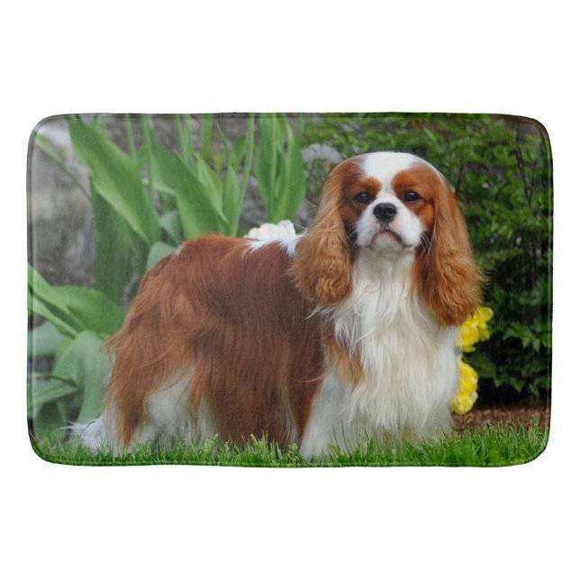 Tapis De Bain Chien coquelicot de Blenheim Cavalier (Devant)