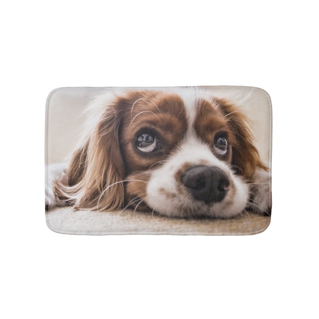 Tapis De Bain Chien Espagnol Coqueur Triste (Devant)