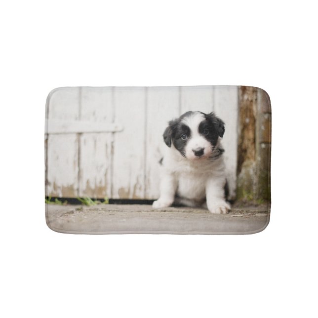 Tapis De Bain Chiot de border collie (Devant)