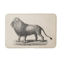 Croquis Brodtmann Lion