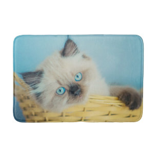 Tapis De Bain Cutest Baby Animals   Himalayan Seal Point Cat