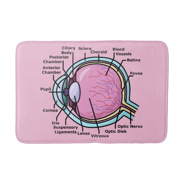 Tapis De Bain Diagramme des yeux (Devant)