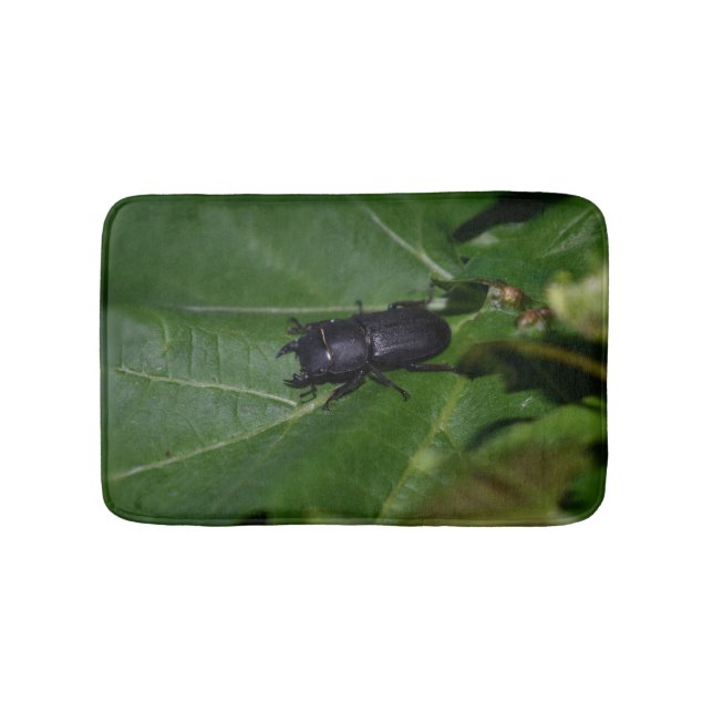 Tapis De Bain Dorcus parallelipipedus, le moindre dendroctone du (Devant)