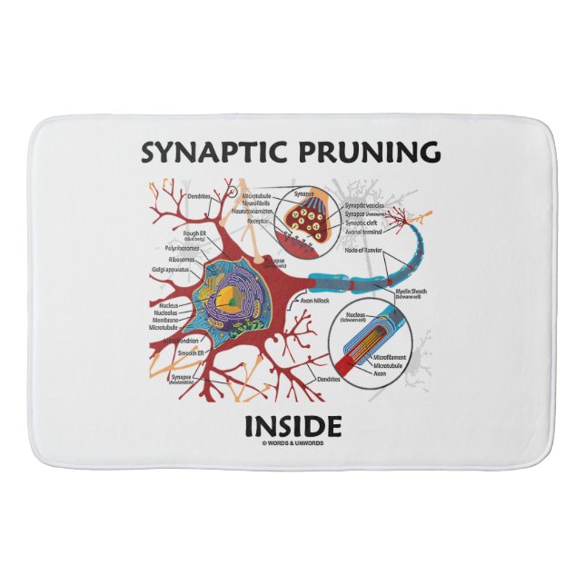 Tapis De Bain Élagage synaptique à l'intérieur de la neurologie (Devant)