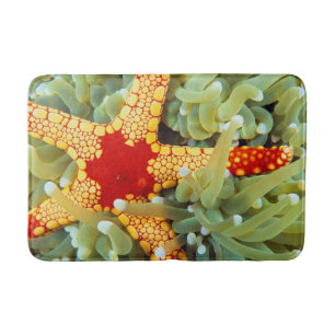 Tapis De Bain Étoile de mer rouge et jaune
