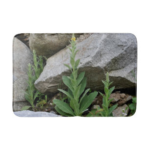 Tapis De Bain Fleurs Mulleines Sauvages Entre Rochers