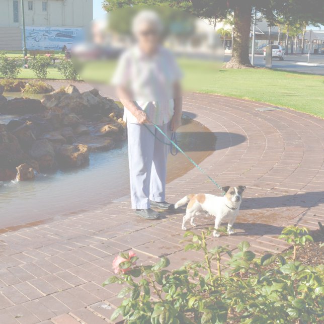 Tapis De Bain Fox Terrier Joyeux Jours, Mousse de mémoire Bathma (Créateur téléchargé)