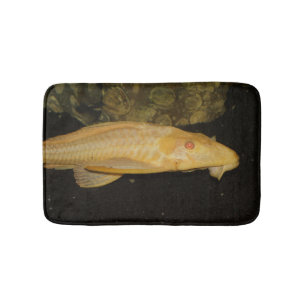 Tapis De Bain Glyptoperichthys gibbiceps