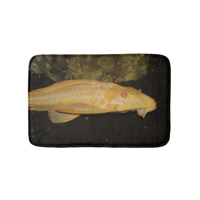 Tapis De Bain Glyptoperichthys gibbiceps (Devant)