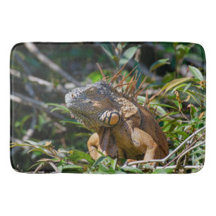 Tapis De Bain Iguana exotique, Belize Photographie