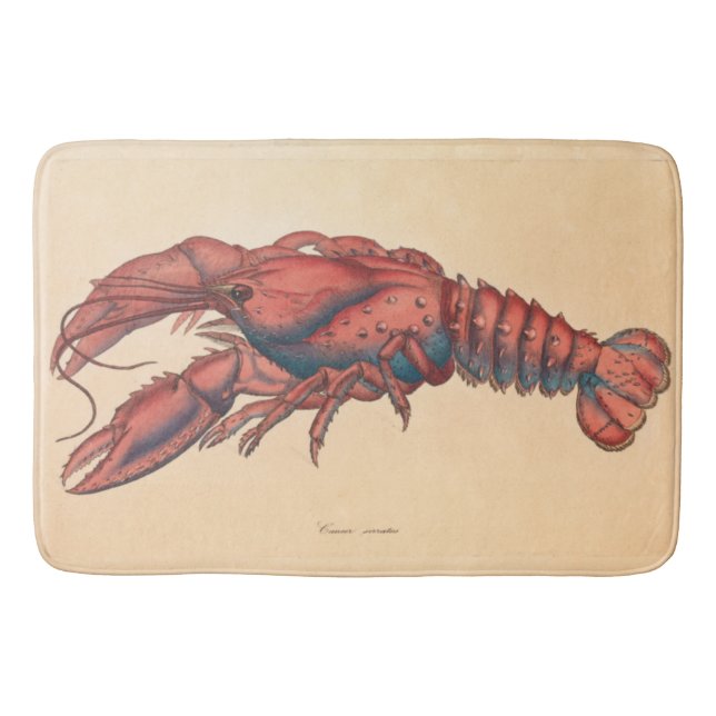 Tapis De Bain James Sowerby Homard serbé (Devant)