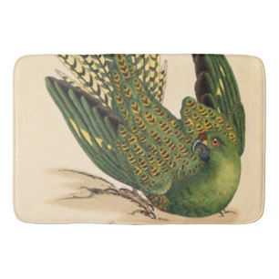 Tapis De Bain James Sowerby Parrot terrestre, Psittacus terrestr