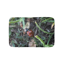 Lady Bug