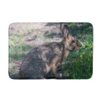 Lapin Brown, Repos dans la nature, Photographie
