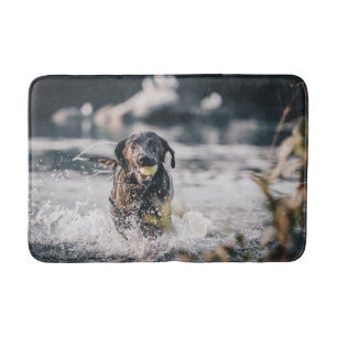 Tapis De Bain Le Labrador Noir Joue Dans L'Eau