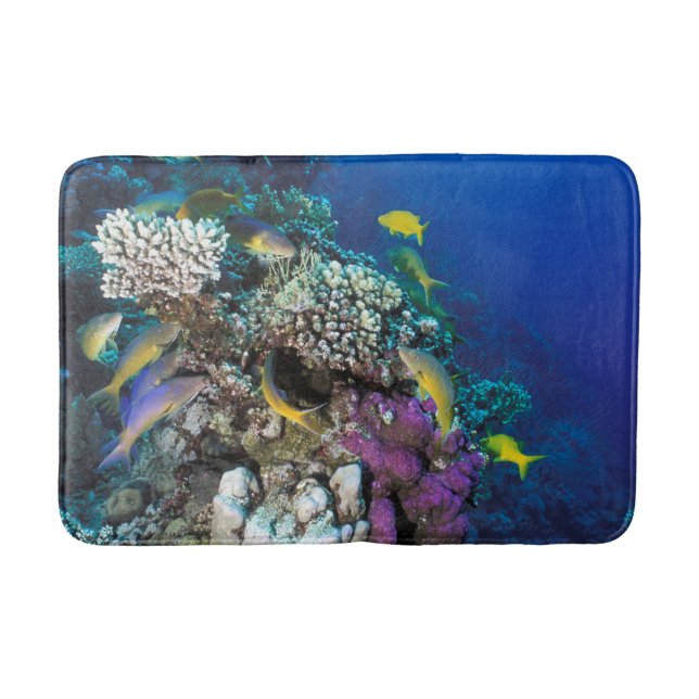 Tapis De Bain Le poisson chèvre se réchauffe autour de petits co (Devant)