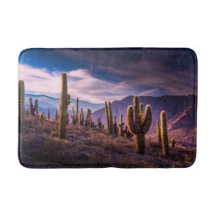 Tapis De Bain Les déserts Cactus Paysage Argentine