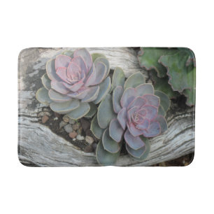 Tapis De Bain Mat de bain succulent Echeveria