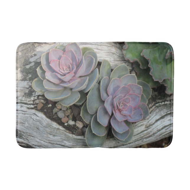 Tapis De Bain Mat de bain succulent Echeveria (Devant)