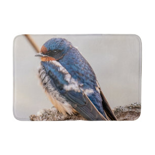 Tapis De Bain Oiseau bleu, Hirondelle de grange, Photographie ca