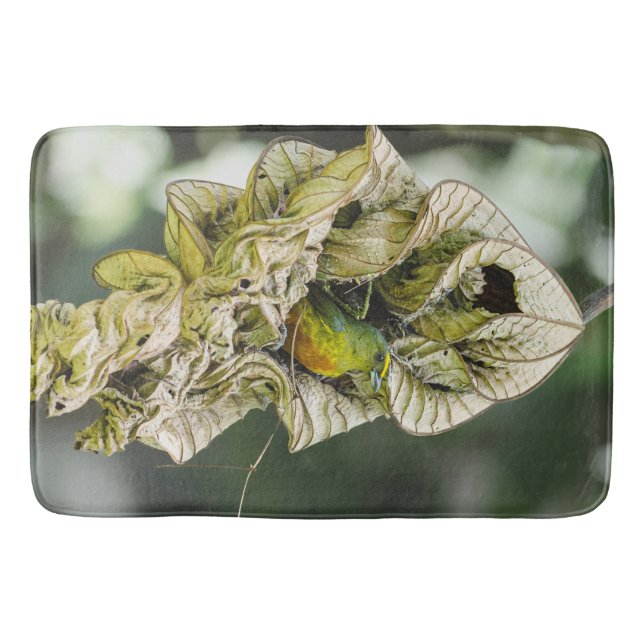 Tapis De Bain Oiseau vert, Euphonie Belize Photographie (Devant)