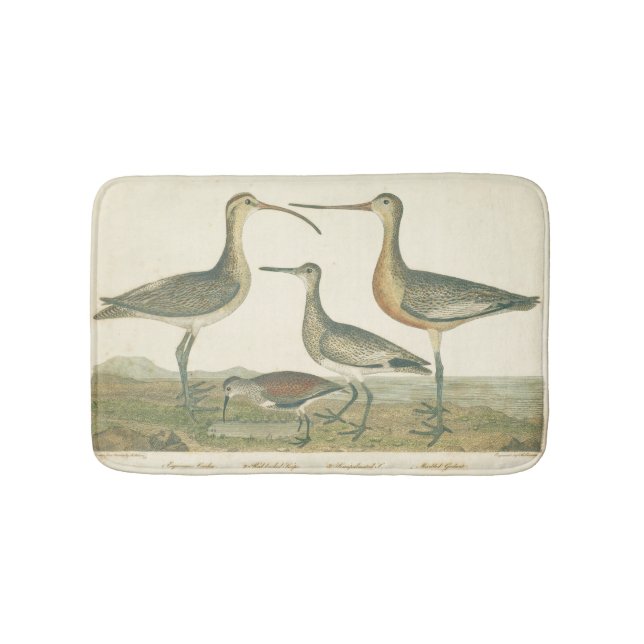 Tapis De Bain Oiseaux de marais Courlis Oiseaux (Devant)