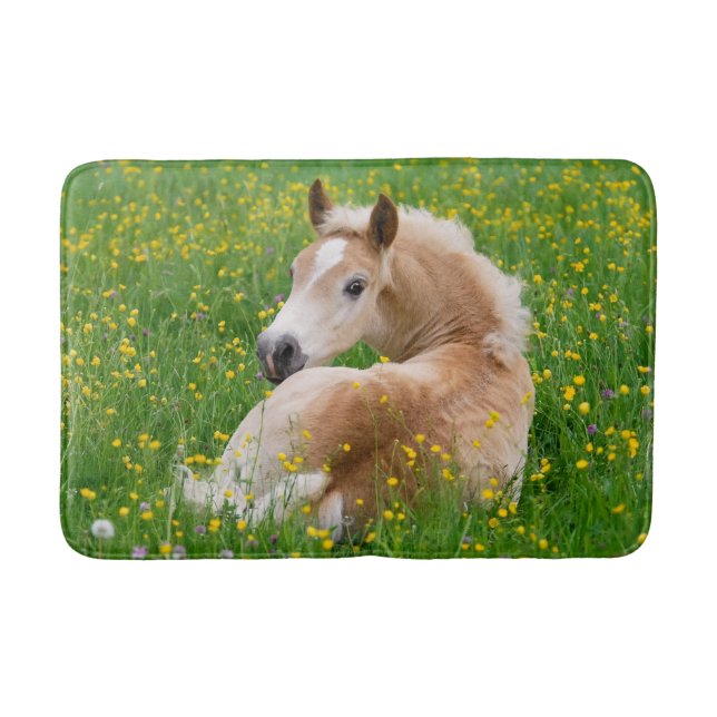 Tapis De Bain Parterre de repos de poulain mignon de cheval de (Devant)